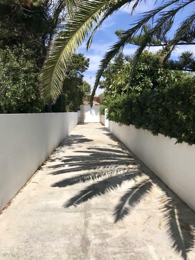Chalet La Rosa Cala Blanca  Dış mekan fotoğraf